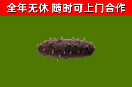 马尔康烟酒回收干海参.jpg